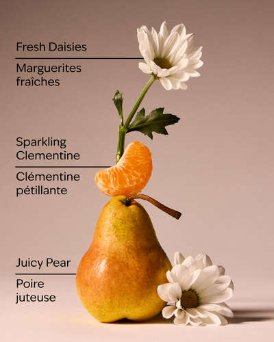 Gingham Fresh Travel Size Fine Fragrance Mist
