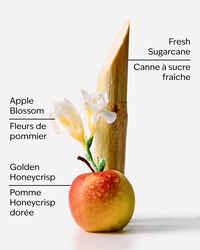 Honeycrisp Apple 3-Wick Candle