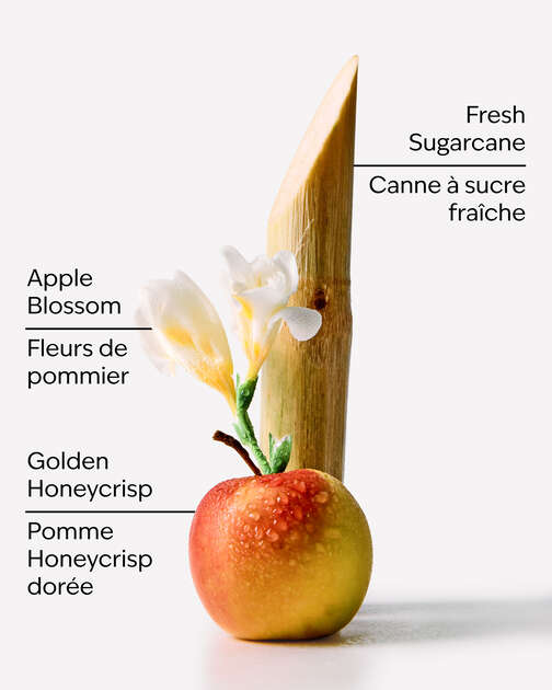 Honeycrisp Apple 3-Wick Candle