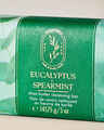 Eucalyptus Spearmint Shea Butter Cleansing Bar
