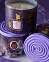 Sally 3-Wick Candle