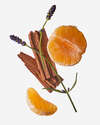 Clean House Vibes - Fall Edition Wallflowers Fragrance Refill