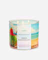 Fresh Watermelon 3-Wick Candle
