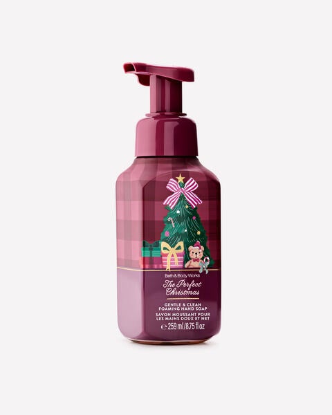 The Perfect Christmas Gentle & Clean Foaming Hand Soap