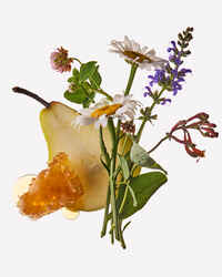 Honey Wildflower Moisturizing PocketBac Hand Sanitizer