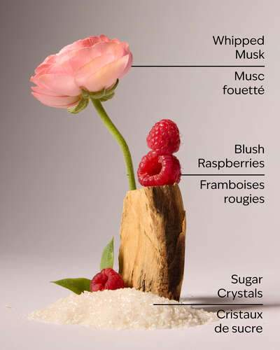 Sweetest Song Ultimate Hydration Body Cream