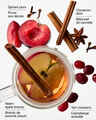 Spiced Apple Toddy 3-Wick Candle