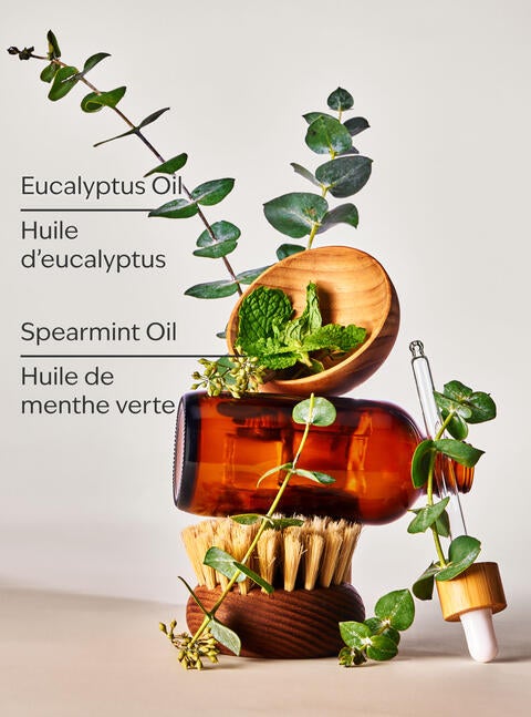 Eucalyptus Spearmint Gift Set