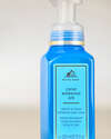 Crisp Morning Air Gentle & Clean Foaming Hand Soap