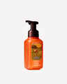 Sweet Cinnamon Pumpkin Gentle & Clean Foaming Hand Soap