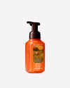 Sweet Cinnamon Pumpkin Gentle & Clean Foaming Hand Soap