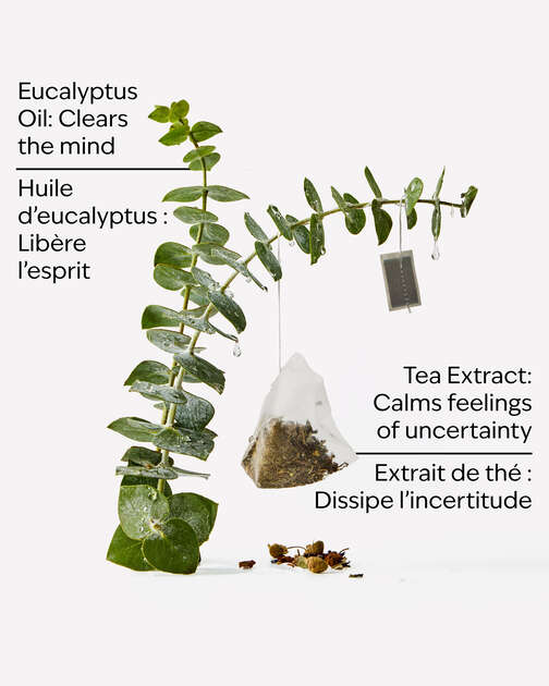 Eucalyptus Tea Moisturizing Body Lotion