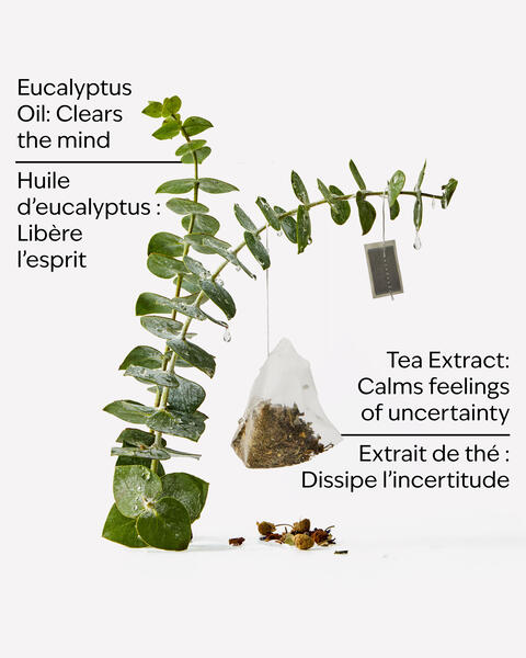 Eucalyptus Tea Moisturizing Body Lotion