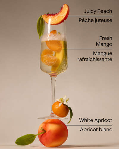 Peach Bellini Gentle & Clean Foaming Hand Soap