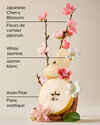 Japanese Cherry Blossom Diamond Shimmer Mist