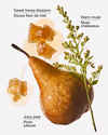 Golden Pear & Honey Wallflowers Fragrance Refill
