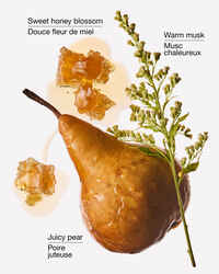Golden Pear & Honey Wallflowers Fragrance Refill