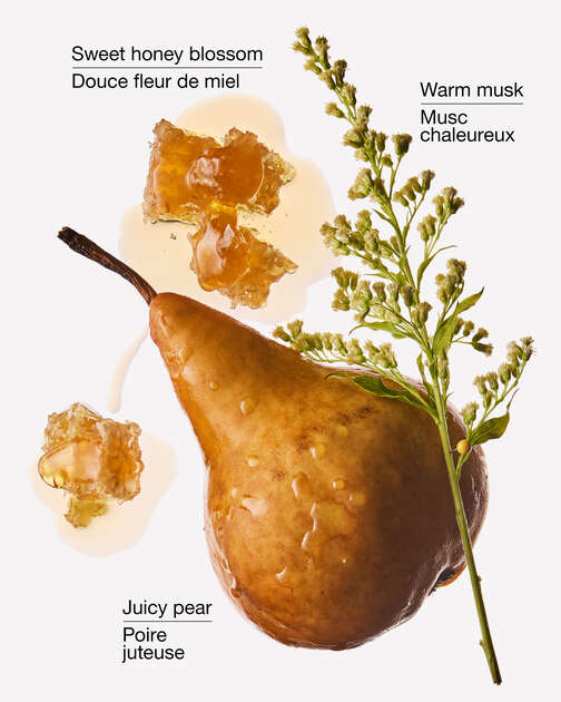 Golden Pear & Honey Wallflowers Fragrance Refill