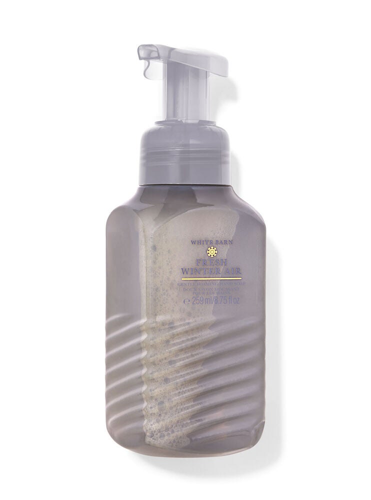 Fresh Winter Air Gentle Foaming Hand Soap Bath and Body Works