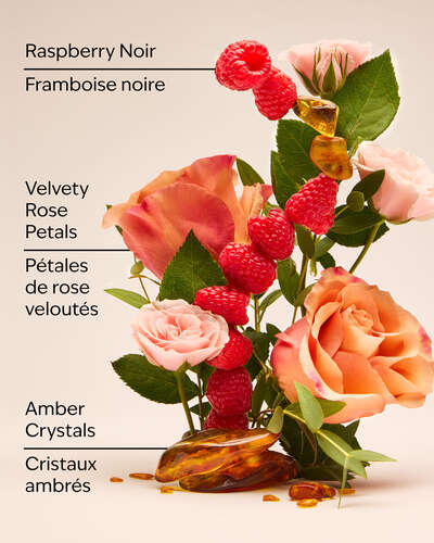 Into the Night Single Wick Candle