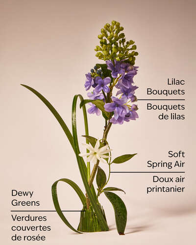 Fresh Cut Lilacs Cleansing Gel Hand Soap