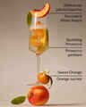 Peach Bellini PocketBac Hand Sanitizer