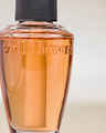 Warm Vanilla Sugar Wallflowers Fragrance Refill