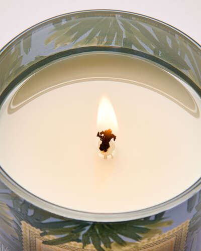 Warm Ocean Breeze Single Wick Candle