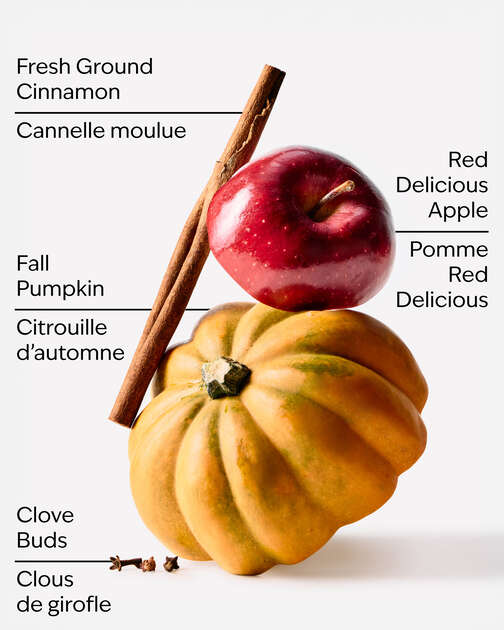 Pumpkin Apple Wallflowers Fragrance Refill