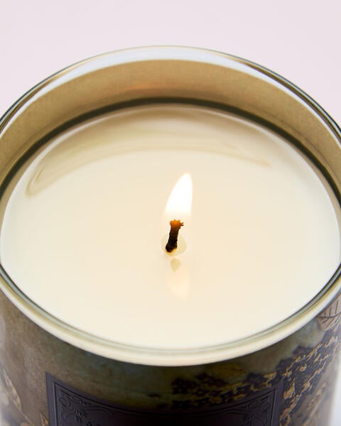 Fresh Cut Lilacs Single Wick Candle