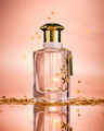 In the Stars Eau De Parfum