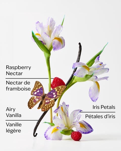 Fine bruine parfumée format mini Butterfly