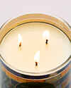 Sweet Kiwi & Starfruit 3-Wick Candle