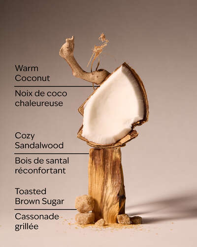 Brown Sugar & Coconut Revitalizing Gel Hand Soap