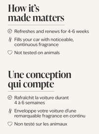 Raspberries & Whipped Vanilla Car Fragrance Refill