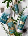 Eucalyptus Tea Moisturizing Body Lotion