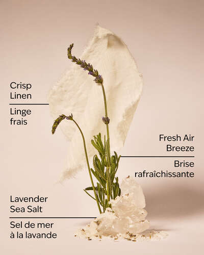 Linen & Lavender Wallflowers Fragrance Refill