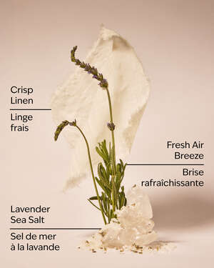 Linen & Lavender Wallflowers Fragrance Refill