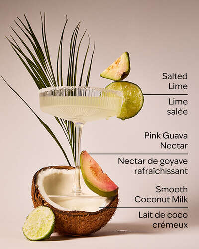 Guava Coconut Margarita Wallflowers Fragrance Refill