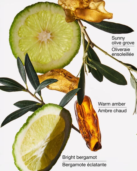 Olive Leaf & Bergamot Wallflowers Fragrance Refill