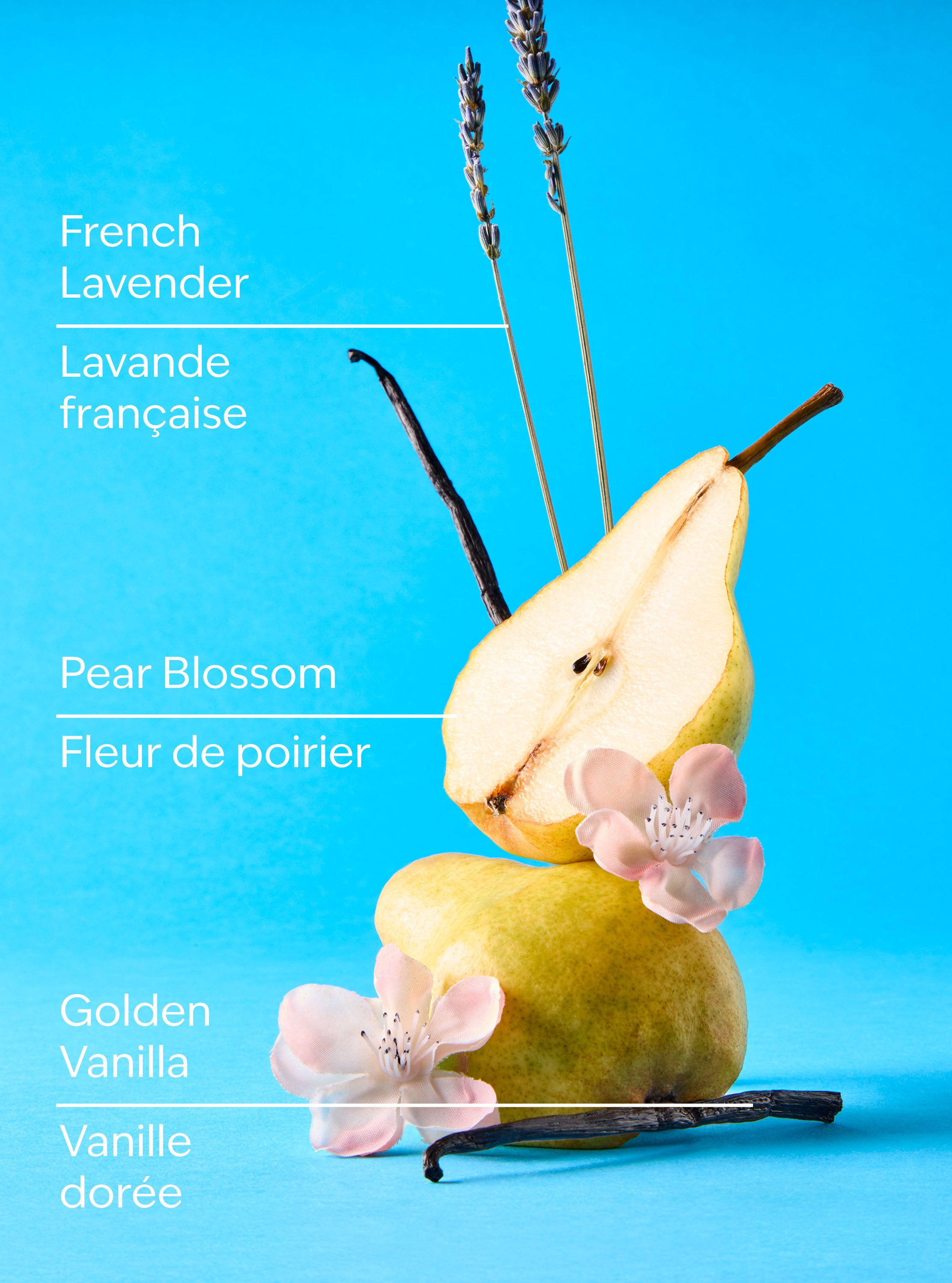 Moonlit Goddess Gentle & Clean Foaming Hand Soap