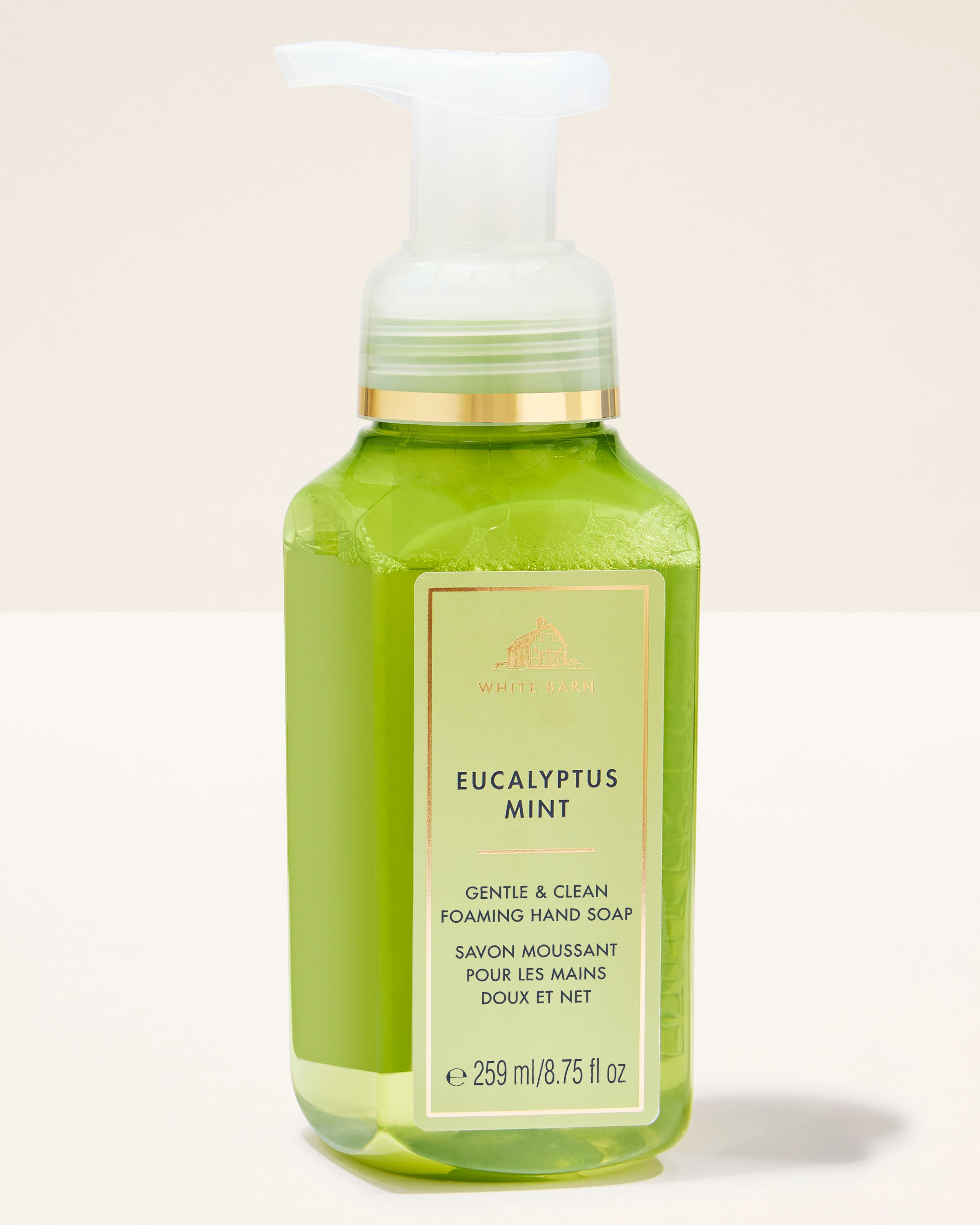 Eucalyptus Mint Gentle & Clean Foaming Hand Soap