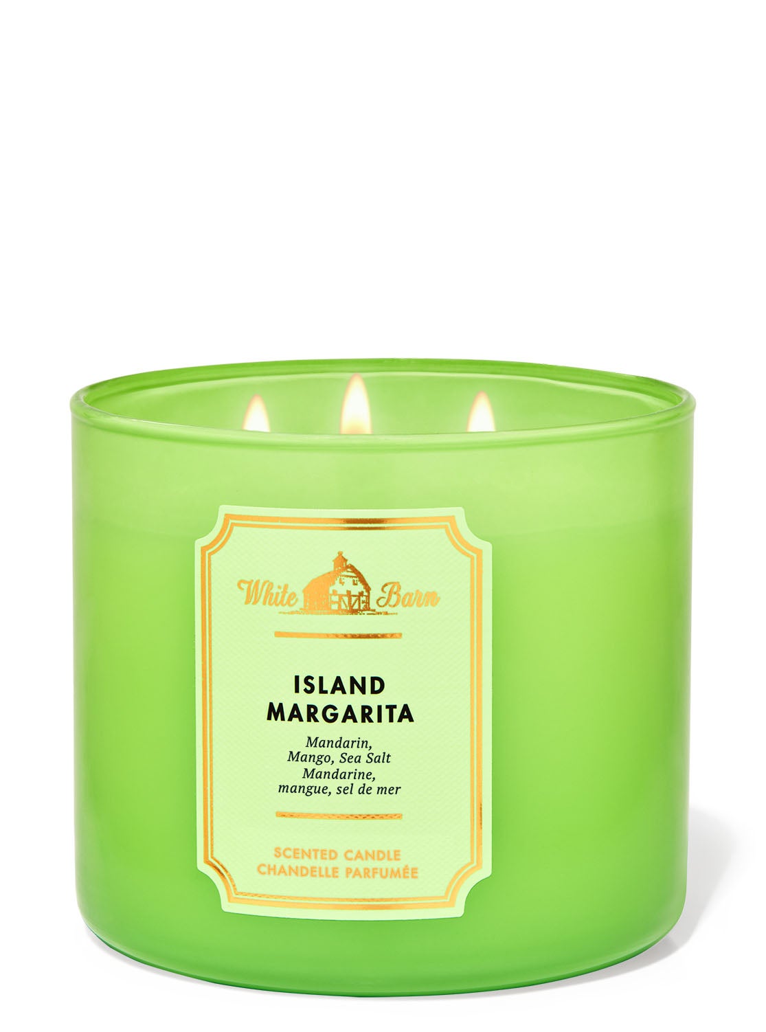 Island Margarita 3Wick Candle Bath and Body Works