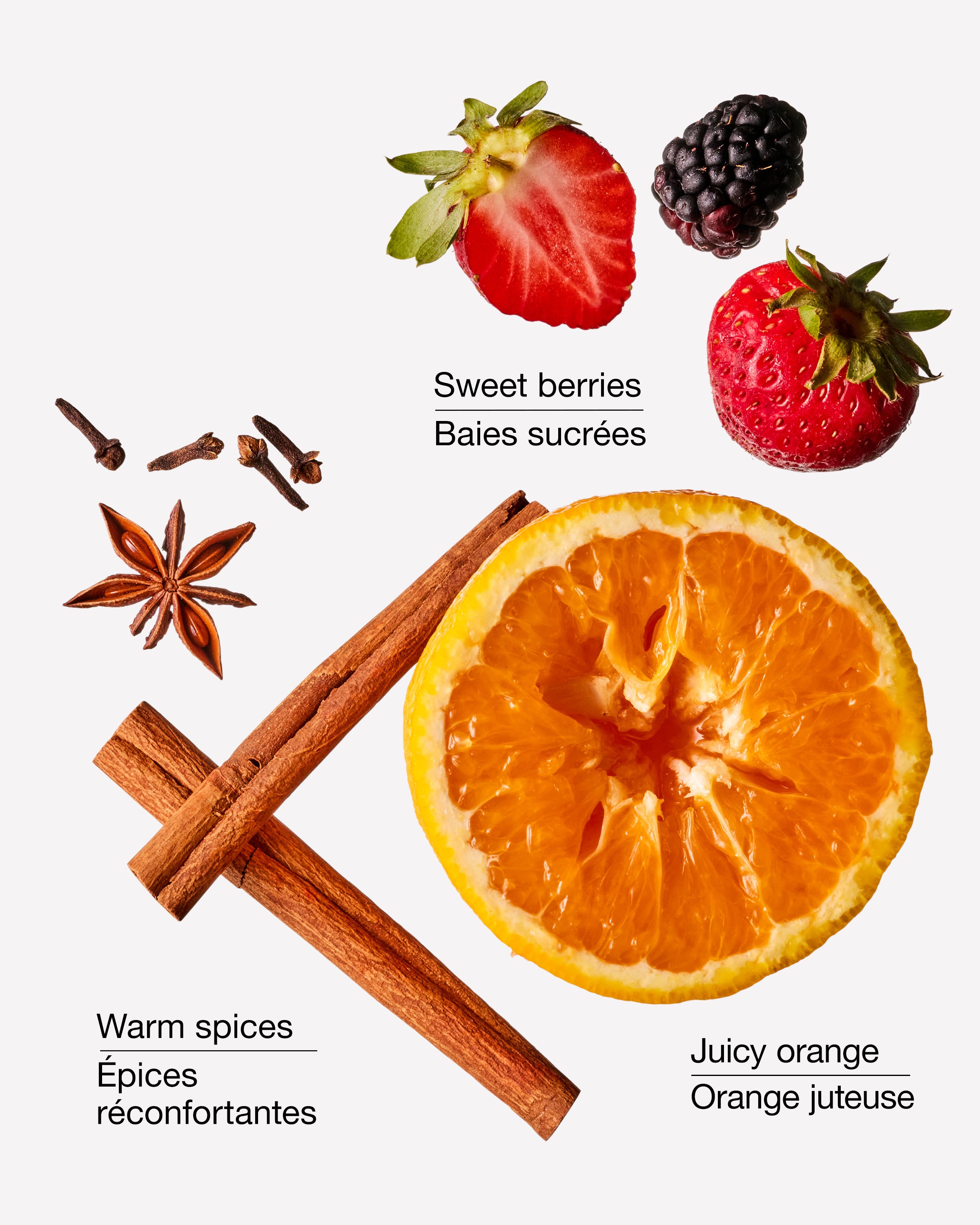 Merry & Bright Gentle & Clean Foaming Hand Soap