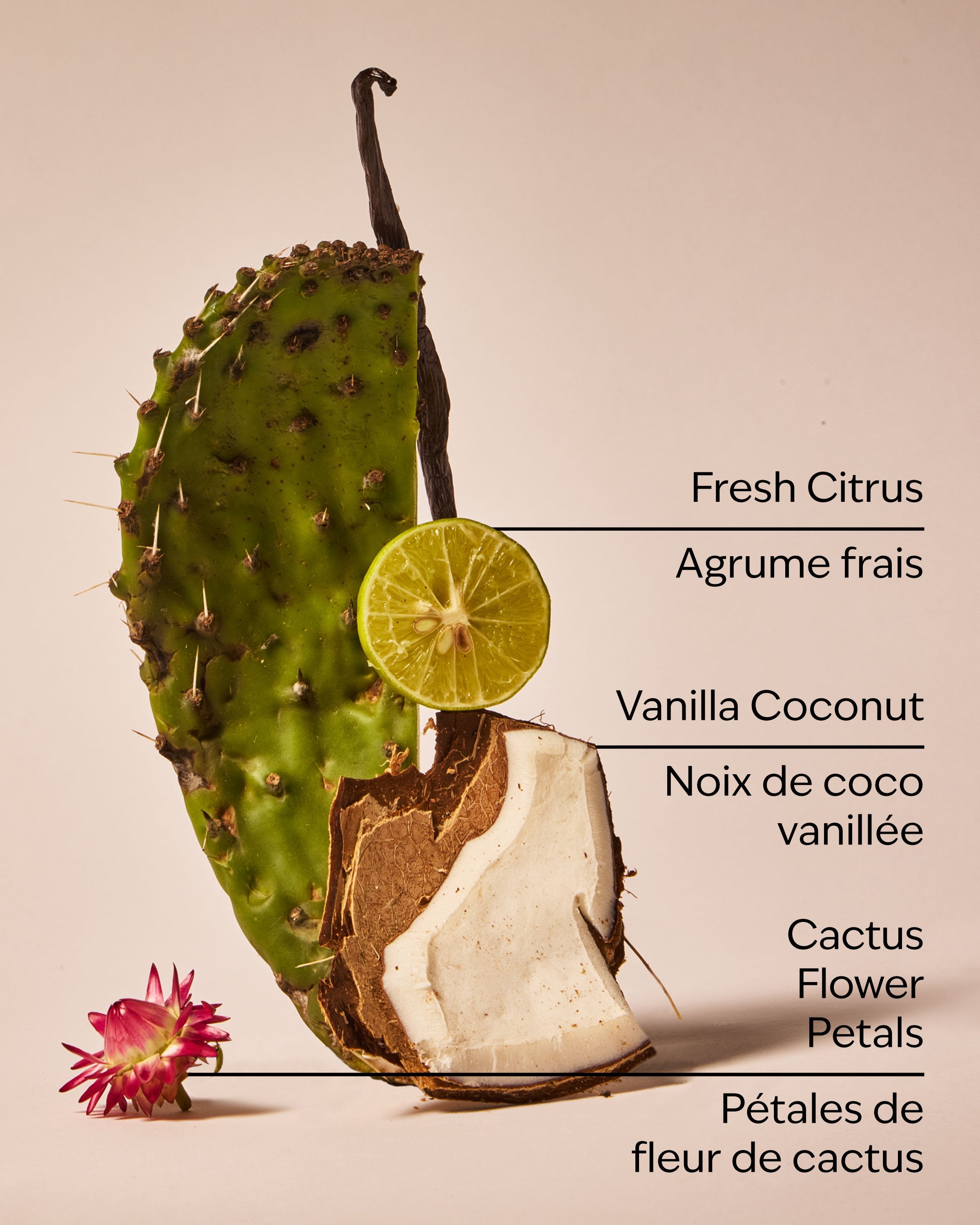 Cactus Blossom Car Fragrance Refill