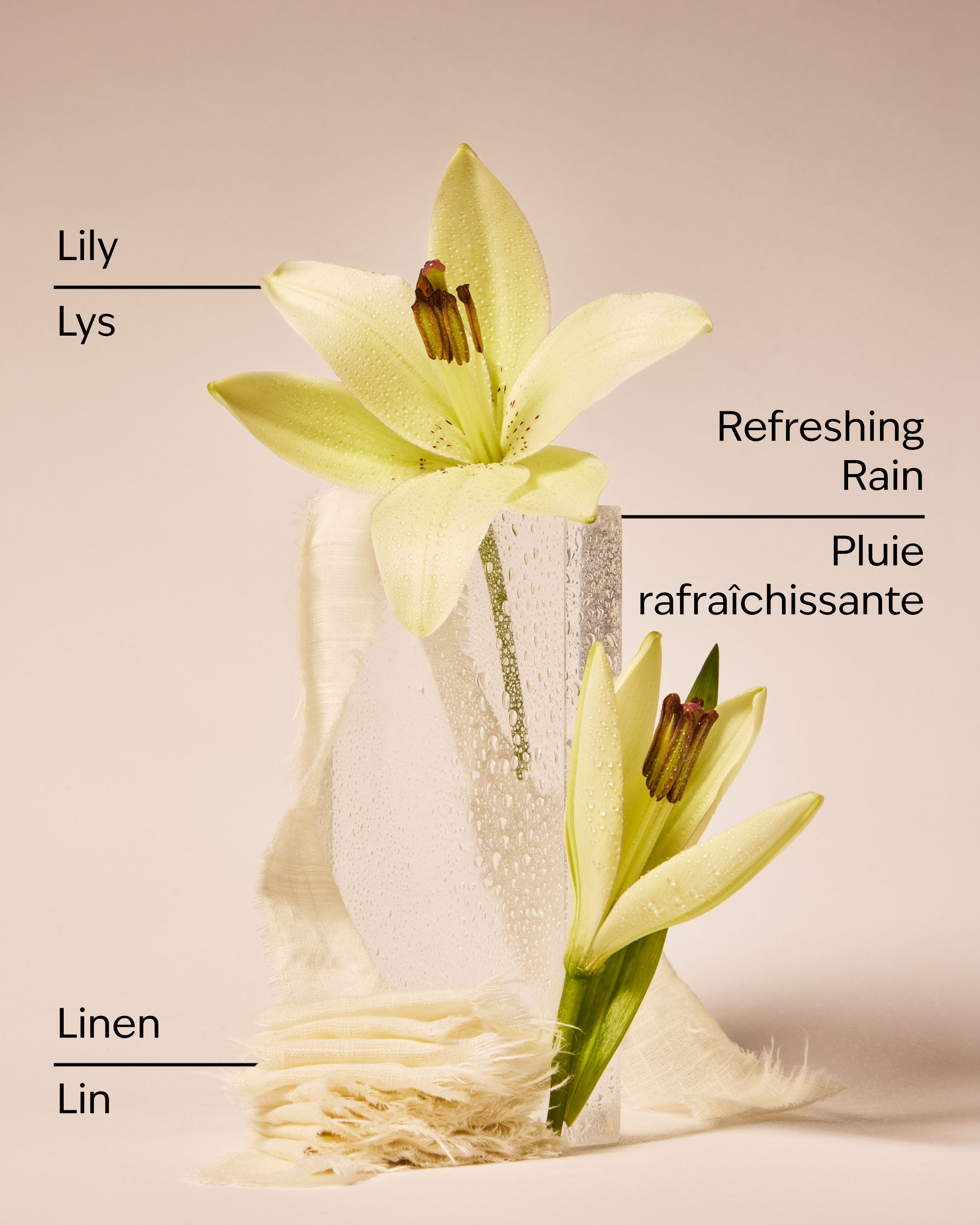 Fresh Rainfall & Linen Concentrated Room Spray