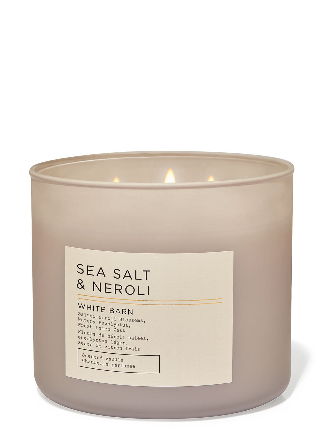 Sea Salt & Neroli 3Wick Candle Bath and Body Works