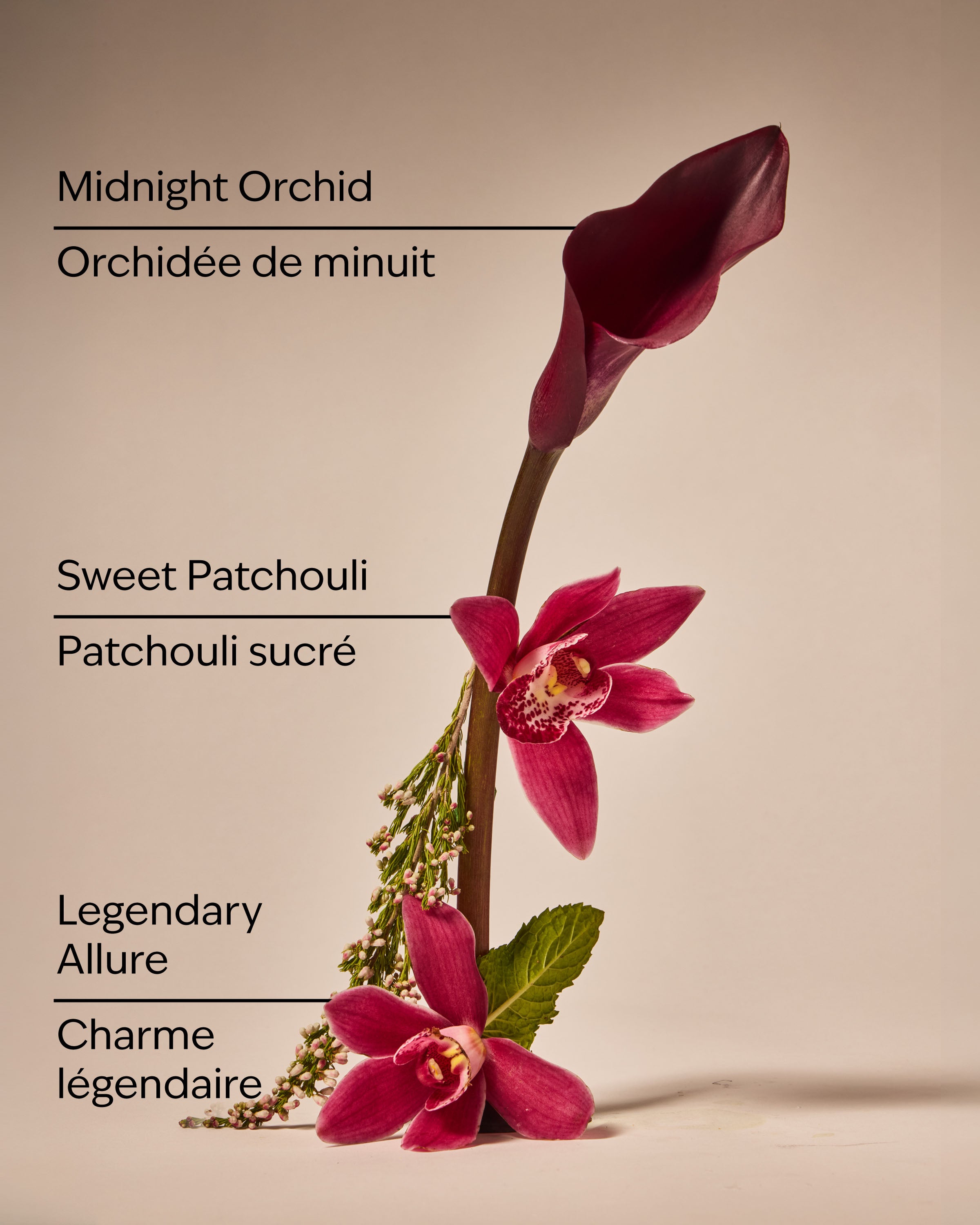 Lowkey Legend Wallflowers Fragrance Refill