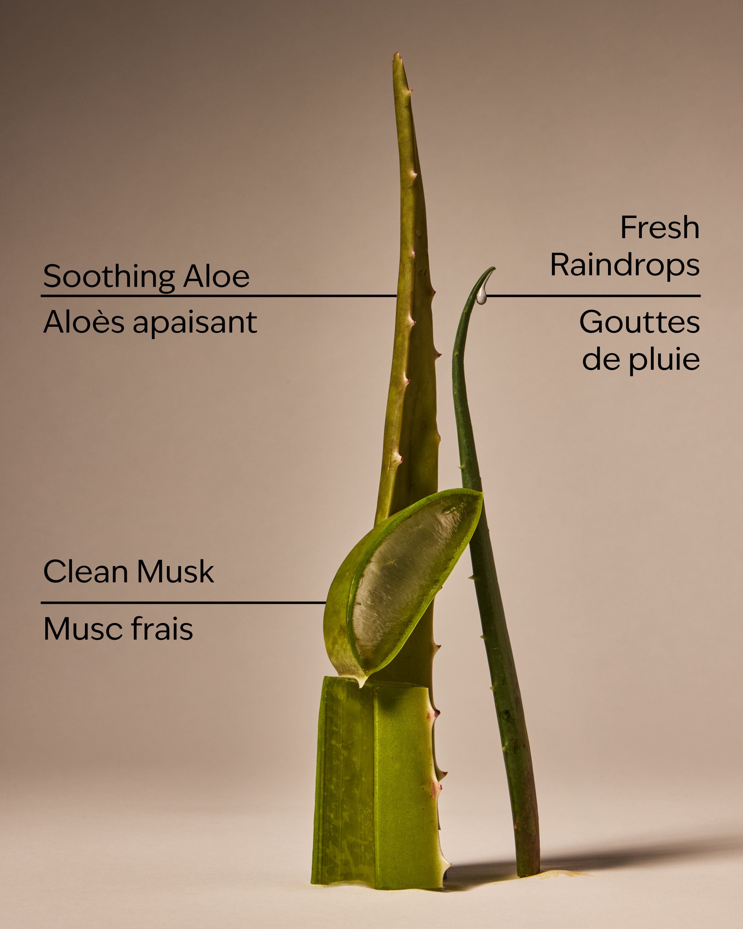 Cool Aloe Water Daily Moisturizing Hand Soap