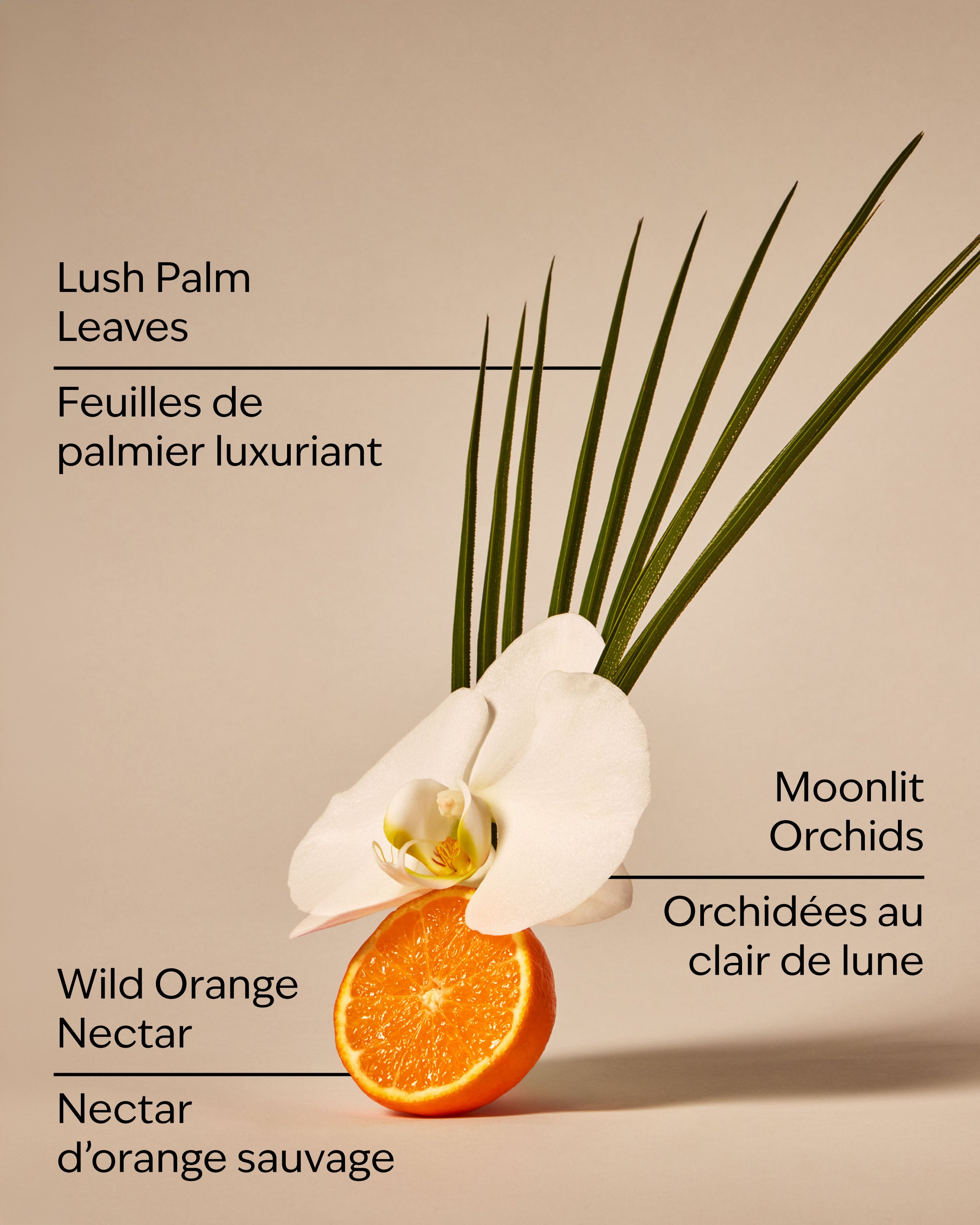 Canopy Dreams Wallflowers Fragrance Refill